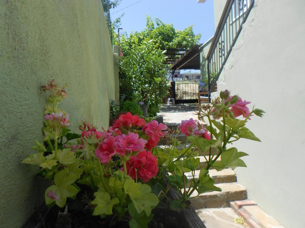 Irmak Family Pension & Apartments Eceabat Zimmer foto